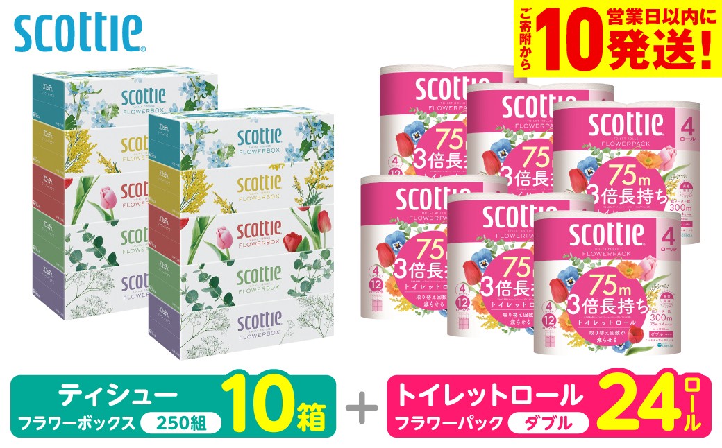 「長持ち」＆「コンパクト」になったスコッティ製品をセットにしてお届け！