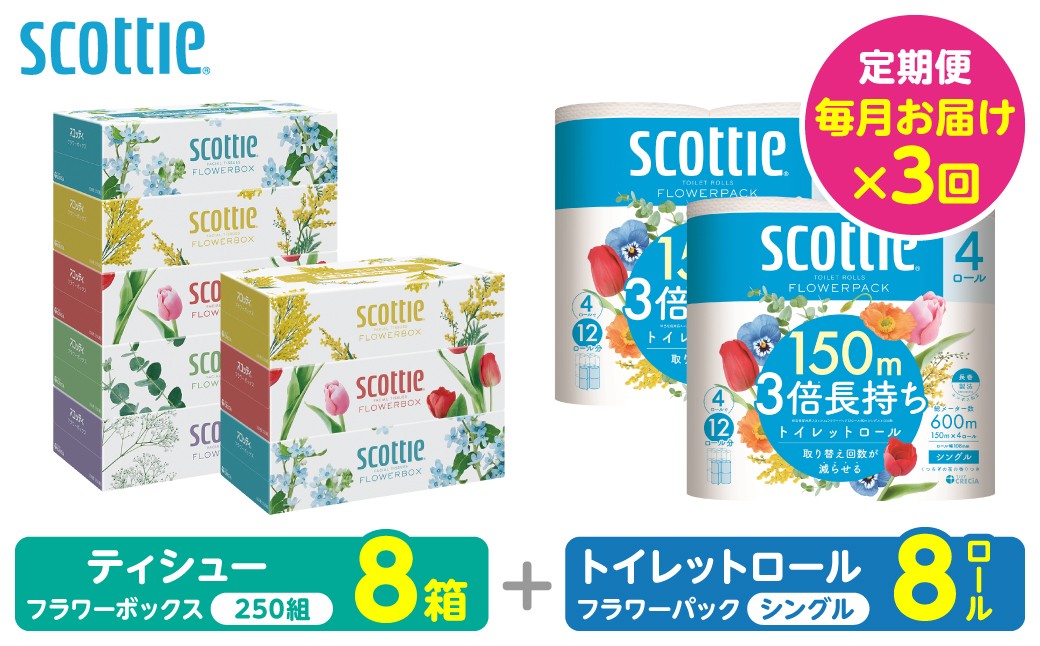 【定期便3回】【毎月1回お届け】【スコッティ】ティシュー フラワーボックス＋フラワーパック 3倍長持ち（シングル）