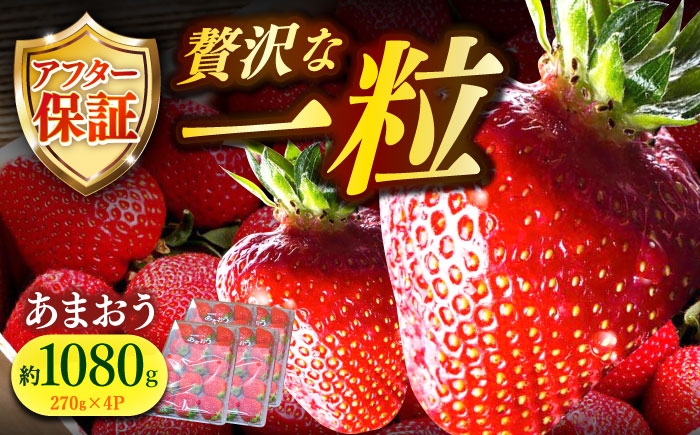  いちご あまおう 福岡県産苺 いちご あまおう イチゴ 苺 ichigo 築上産 ジャム フルーツ 果物 スイーツ