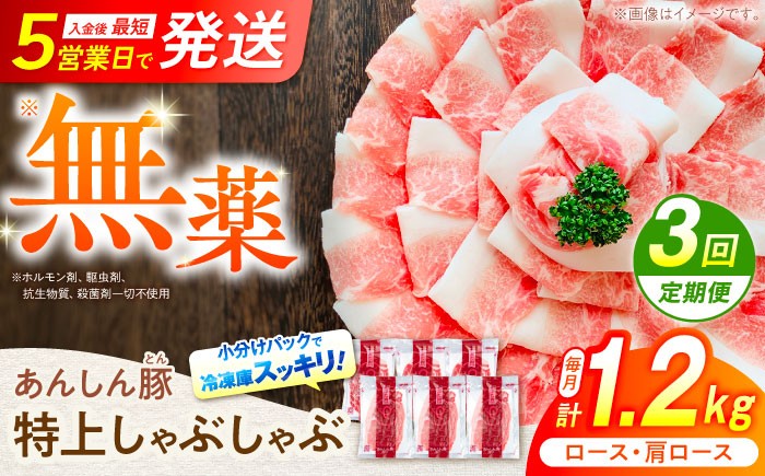 3回 定期便 あんしん豚 特上しゃぶしゃぶ セット 豚肉 ロース 国産 白川町 豚しゃぶ サラダ