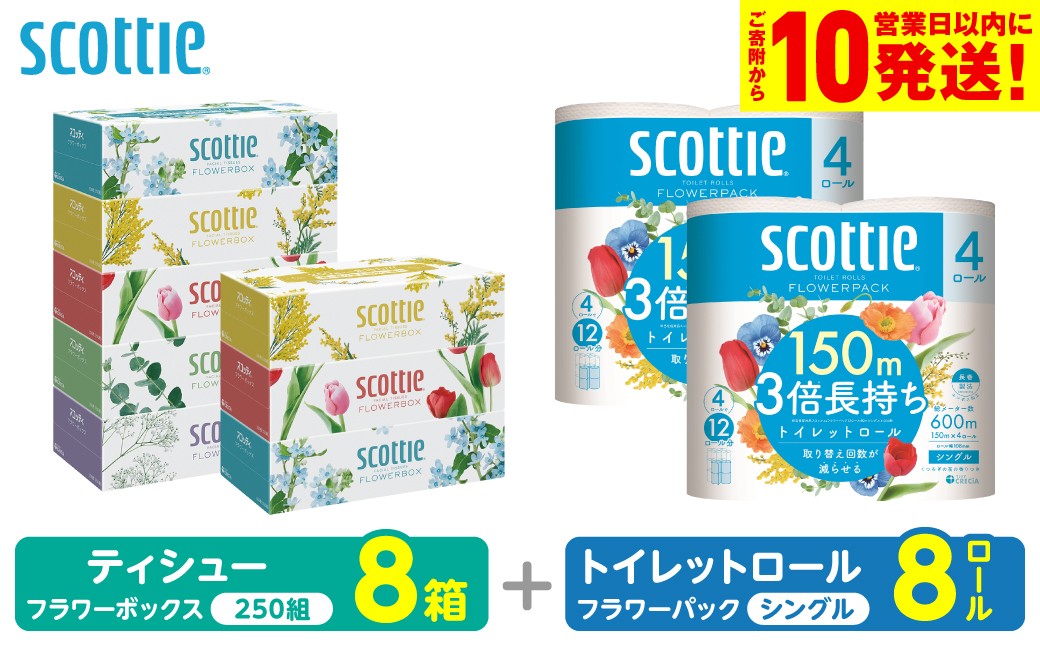 「長持ち」＆「コンパクト」になったスコッティ製品をセットにしてお届け！