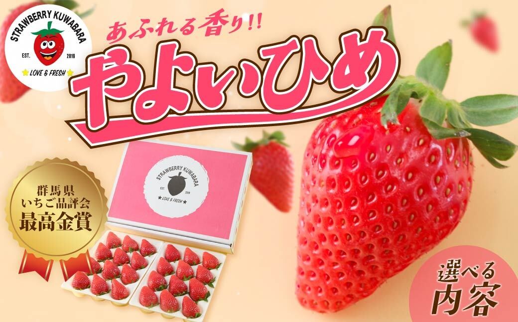 いちご やよいひめ (贈答用) 約800g 群馬県いちご品評会最高金賞受賞