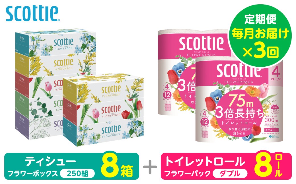 【定期便3回】【毎月1回お届け】【スコッティ】ティシュー フラワーボックス＋フラワーパック 3倍長持ち（ダブル）