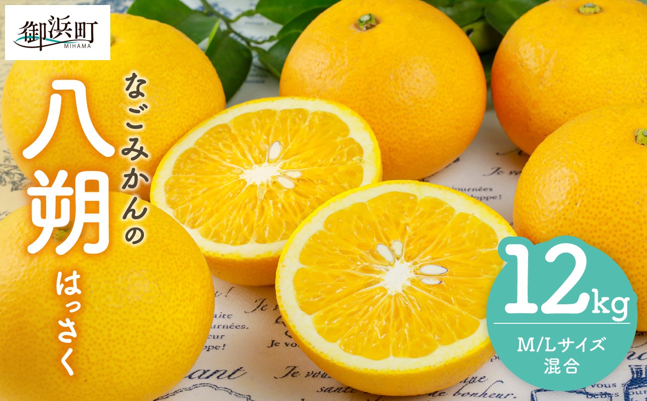 【2027年発送 先行予約品】