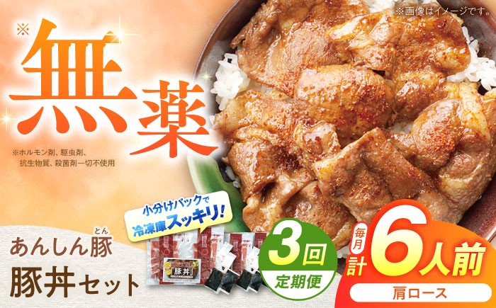 3回 定期便 あんしん豚 豚丼セット 豚肉 肩ロース 国産 白川町 国産 豚  お惣菜 時短 手軽