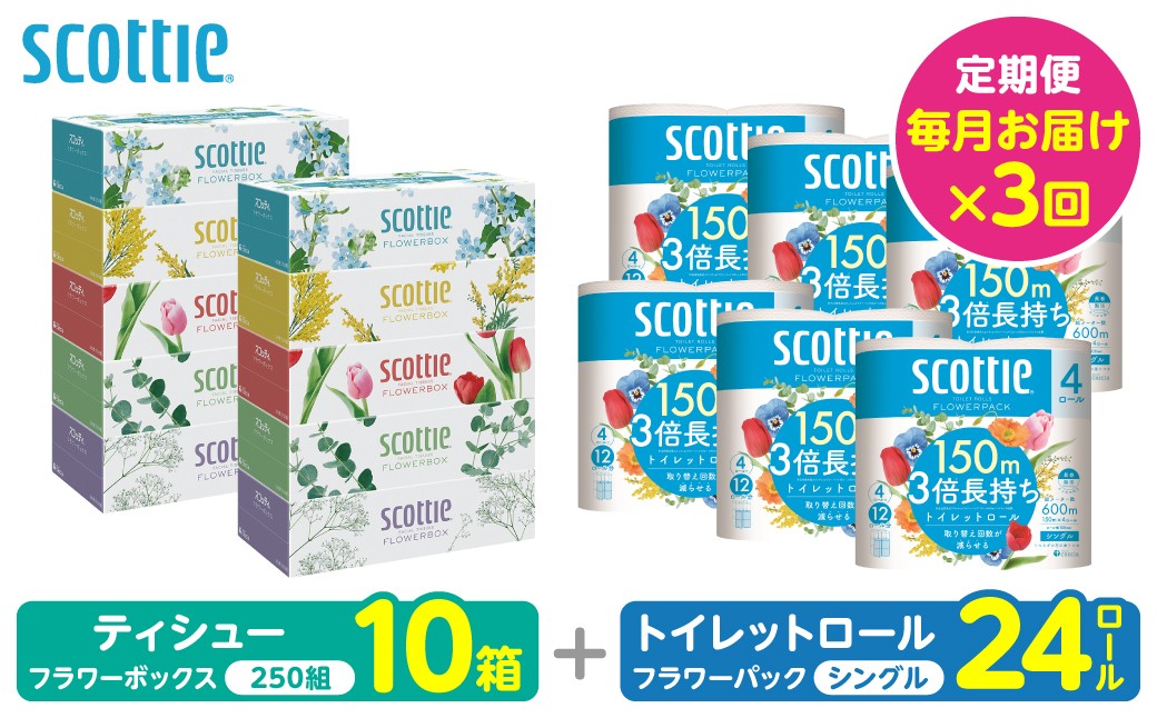 【定期便3回】【毎月1回お届け】【スコッティ】ティシュー フラワーボックス＋フラワーパック 3倍長持ち（シングル）