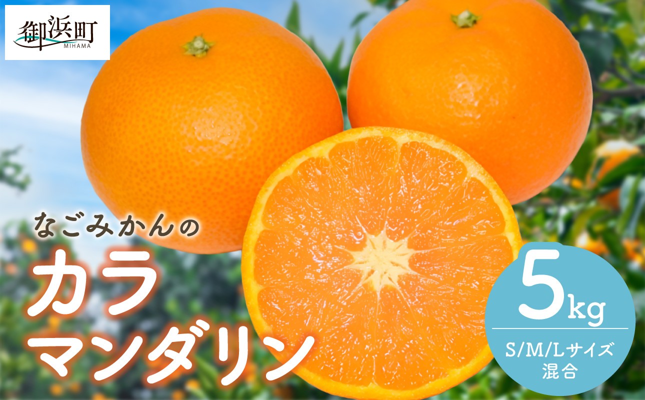 【2027年発送 先行予約品】