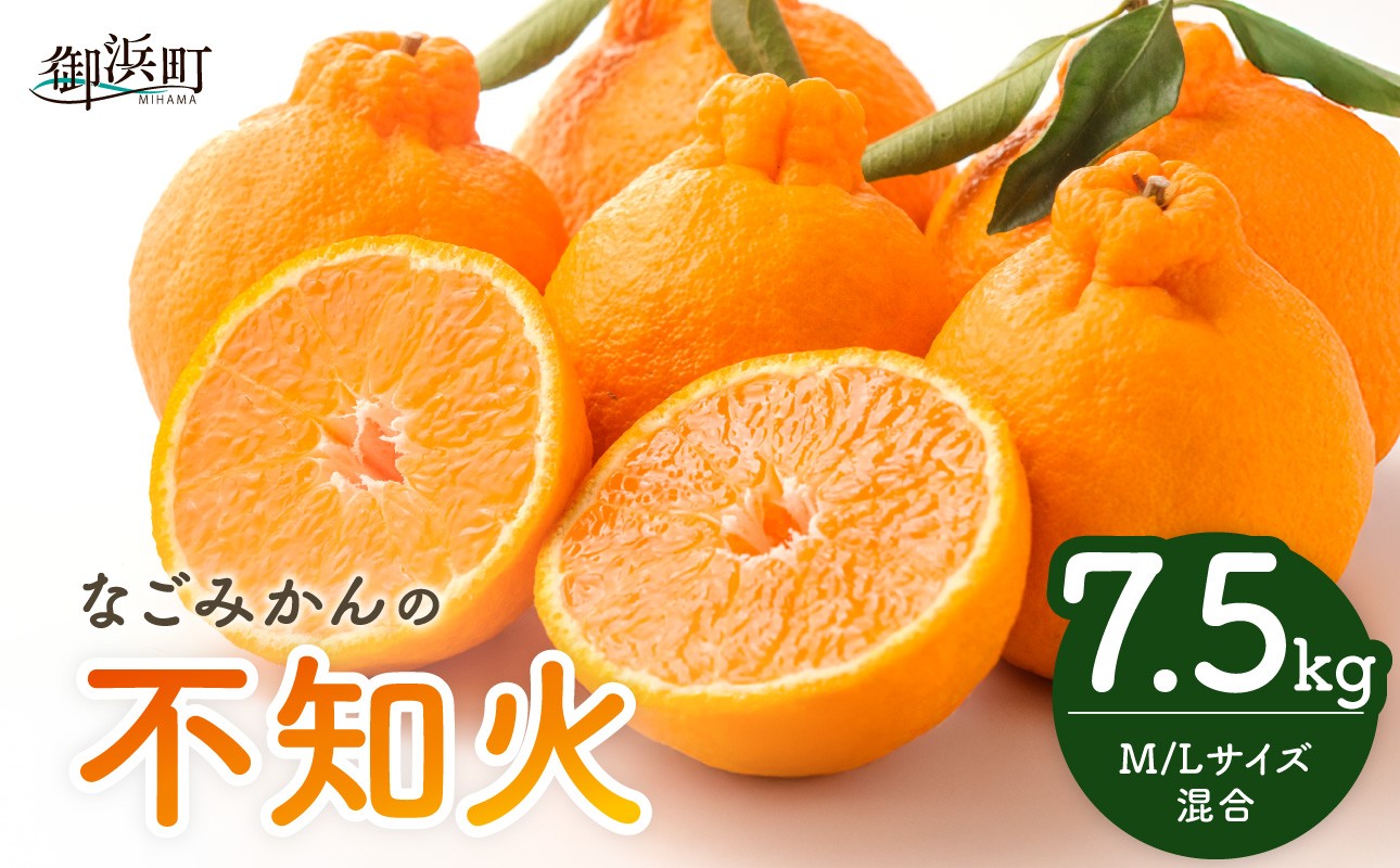 【2027年発送 先行予約品】