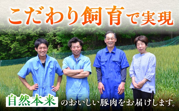 12回 定期便 あんしん豚 スペアリブ 1.5kg 豚肉 小分け 国産 白川町 国産 豚 