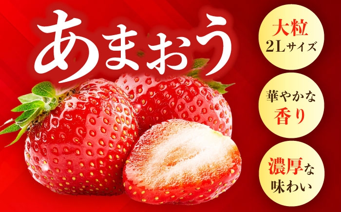 苺専用パッケージに包装し鮮度を保った状態で発送します。