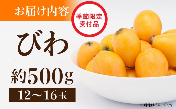 びわ ビワ 枇杷 季節もの フルーツ 果物 