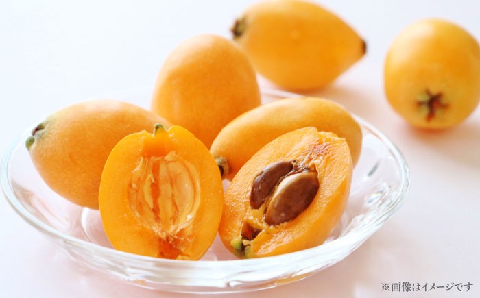 びわ ビワ 枇杷 季節もの フルーツ 果物 