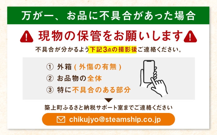 いちご 苺 イチゴ 果物 フルーツ いちご 甘い ichigo strawberry イチゴ 生いちご 福岡県