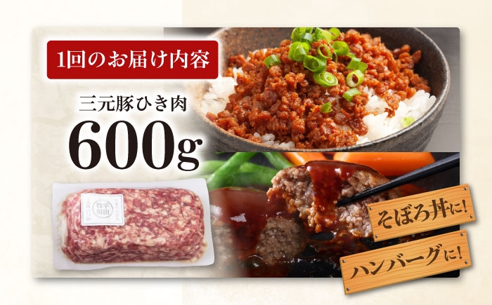三元豚 ひき肉600g 肉 豚肉 ミンチ 豚ミンチ 餃子 つくね 冷凍配送 