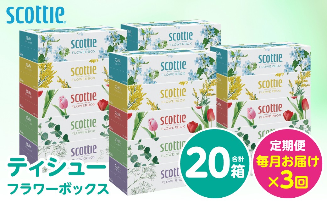 【定期便3回】【毎月お届け】【スコッティ】ティシュー フラワーボックス 250組 5箱パック×4セット 合計20箱