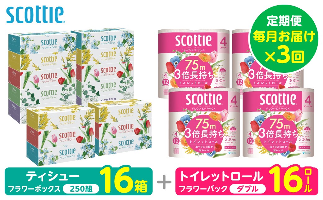 【定期便3回】【毎月1回お届け】【スコッティ】ティシュー フラワーボックス＋フラワーパック 3倍長持ち（ダブル）