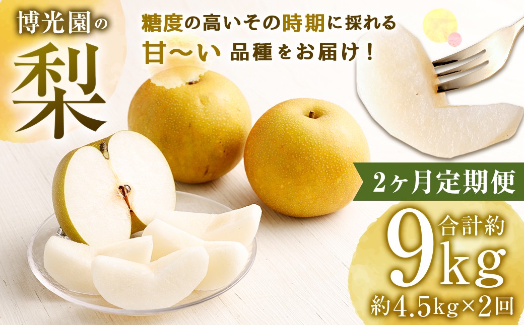 【3ヶ月定期便】 梨 4.5kg