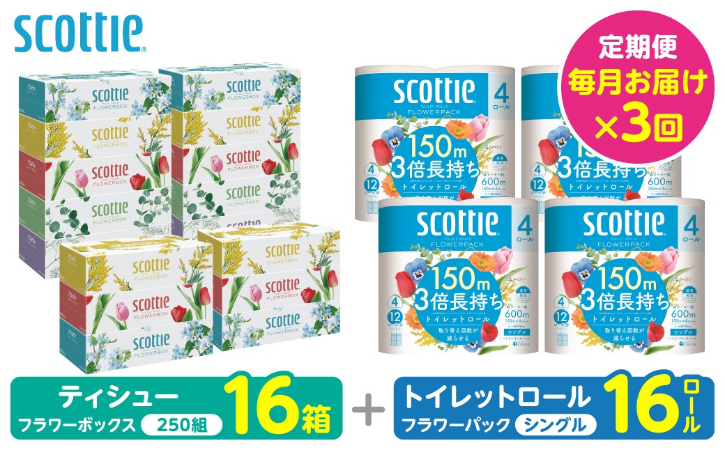 【定期便3回】【毎月1回お届け】【スコッティ】ティシュー フラワーボックス＋フラワーパック 3倍長持ち（シングル）
