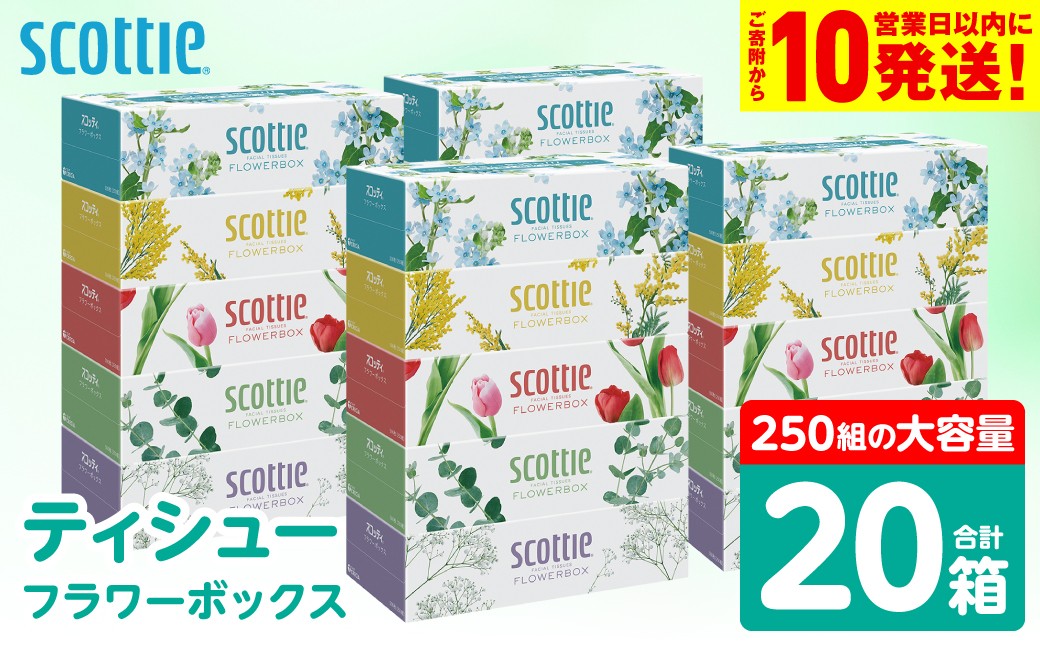【スコッティ】ティシュー フラワーボックス 250組 5箱パック×4セット 合計20箱