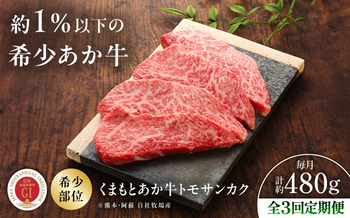 菊陽町 あかうし 熊本県 肉 にく niku ブランド 旨み くまもとあか牛 和牛 阿蘇 自然 自社牧場 直接 最高 定期便