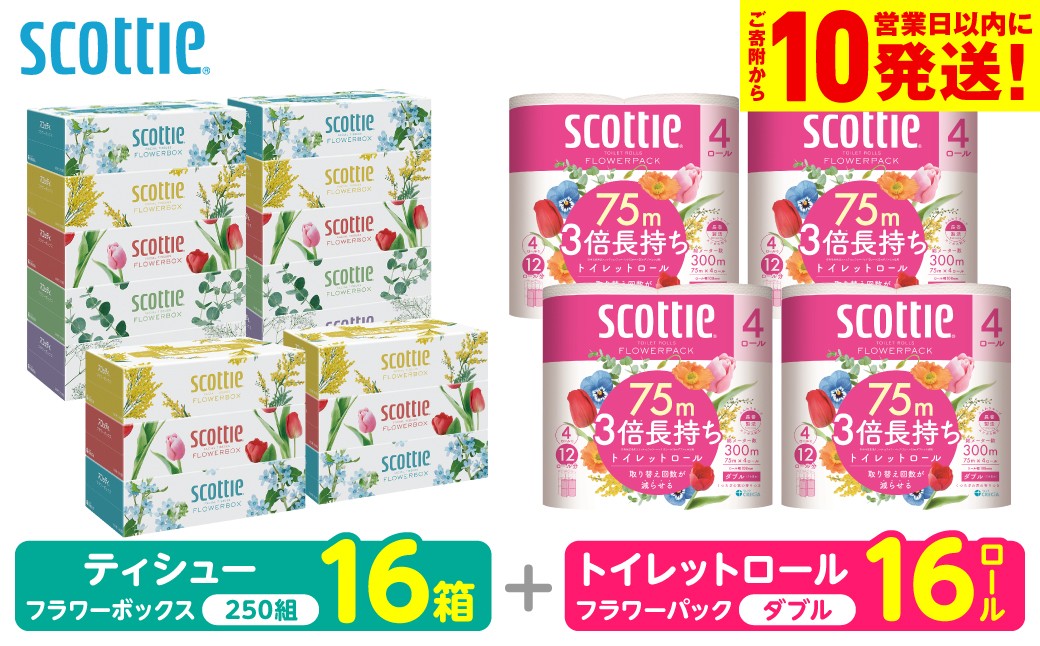 「長持ち」＆「コンパクト」になったスコッティ製品をセットにしてお届け！