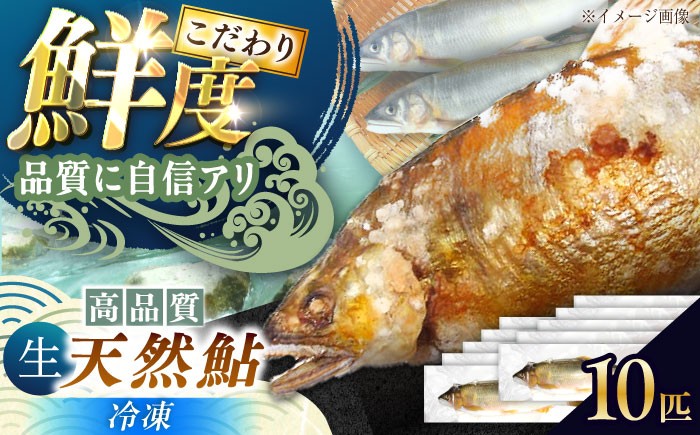 天然あゆ 冷凍 付知川 鮎 魚介 お取り寄せ 魚 天然鮎 清流 通年受付 川魚 贈答 ギフト おすすめ 人気 岐阜県 恵那市