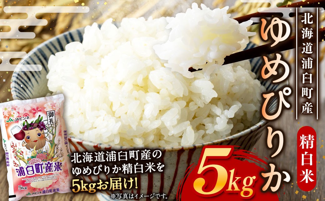 〈令和7年産〉浦臼産 ゆめぴりか 精白米 5kg×1袋 【2026年1月下旬-8月下旬迄順次発送予定】