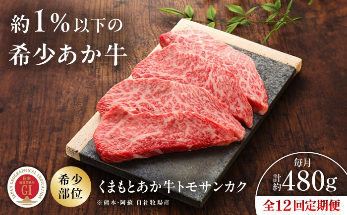 菊陽町 あかうし 熊本県 肉 にく niku ブランド 旨み くまもとあか牛 和牛 阿蘇 自然 自社牧場 直接 最高 定期便
