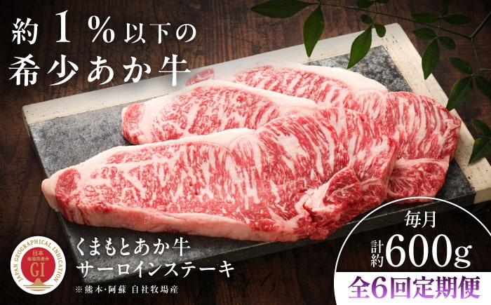 菊陽町 あかうし 熊本県 肉 にく niku ブランド 旨み くまもとあか牛 和牛 阿蘇 自然 自社牧場 直接 最高 定期便