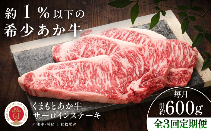 菊陽町 あかうし 熊本県 肉 にく niku ブランド 旨み くまもとあか牛 和牛 阿蘇 自然 自社牧場 直接 最高 定期便