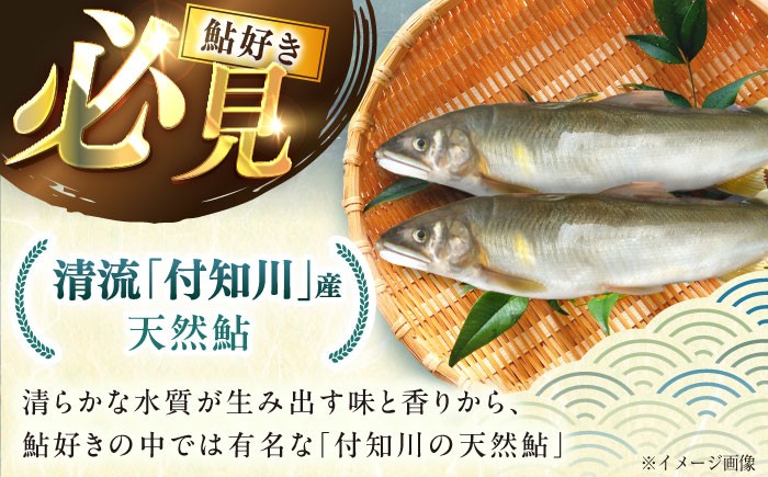 天然あゆ 一夜干し 鮎 干物 お取り寄せ 塩焼き 天然 通年 魚 川魚 天然鮎 贈答 ギフト おすすめ 人気 岐阜県 恵那市