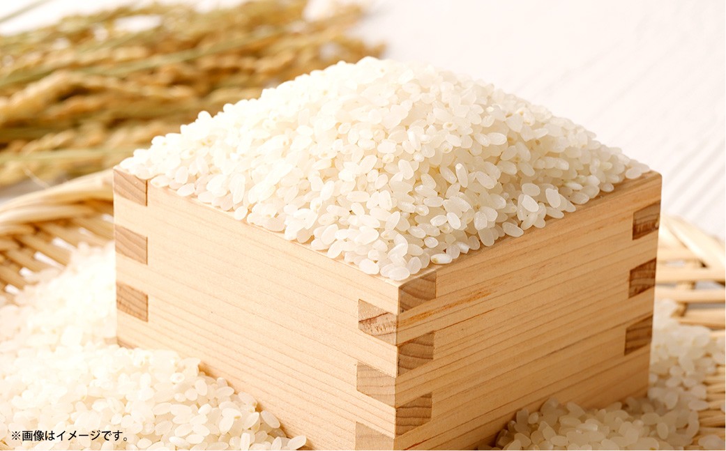 岡山県産あきたこまち 10kg（5kg×2袋）