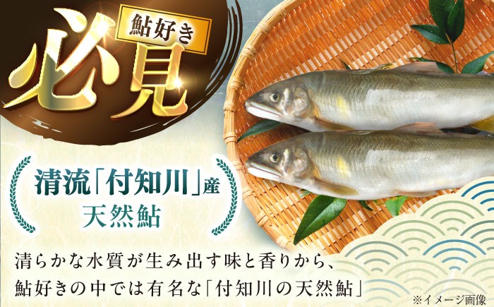 天然あゆ 冷凍 付知川 鮎 魚介 お取り寄せ 魚 天然鮎 清流 通年受付 川魚 贈答 ギフト おすすめ 人気 岐阜県 恵那市