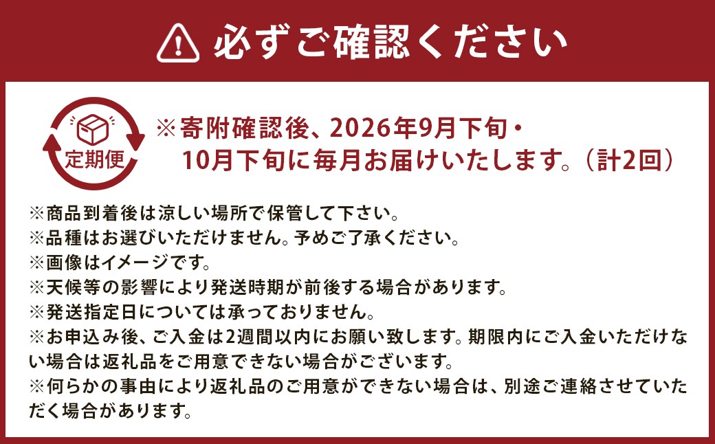 【3ヶ月定期便】 梨 3kg