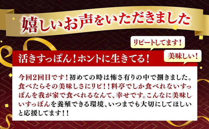 すっぽん スッポン コラーゲン 珍味 海鮮 魚介類 鍋 ナベ なべ セット