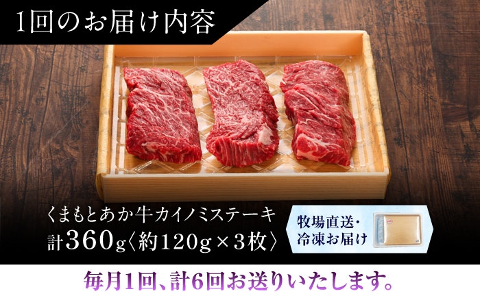 菊陽町 あかうし 熊本県 肉 にく niku ブランド 旨み くまもとあか牛 和牛 阿蘇 自然 自社牧場 直接 最高 定期便