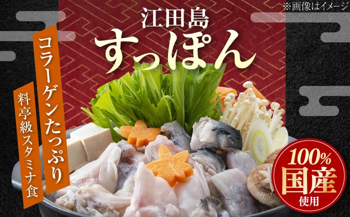 すっぽん スッポン コラーゲン 珍味 海鮮 魚介類 鍋 ナベ なべ セット