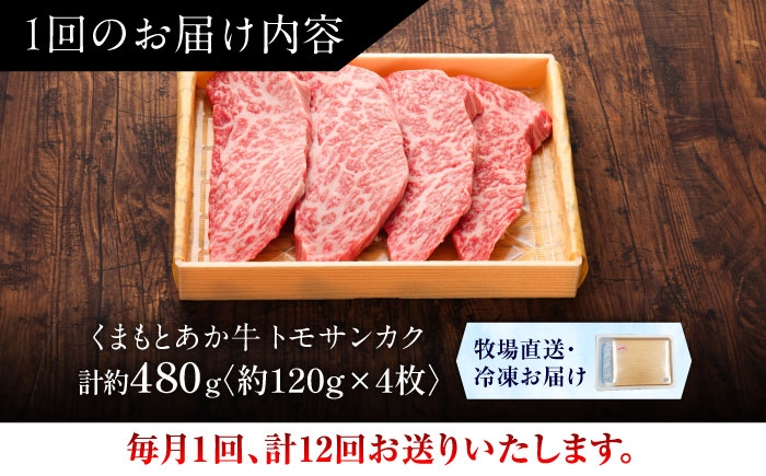 菊陽町 あかうし 熊本県 肉 にく niku ブランド 旨み くまもとあか牛 和牛 阿蘇 自然 自社牧場 直接 最高 定期便
