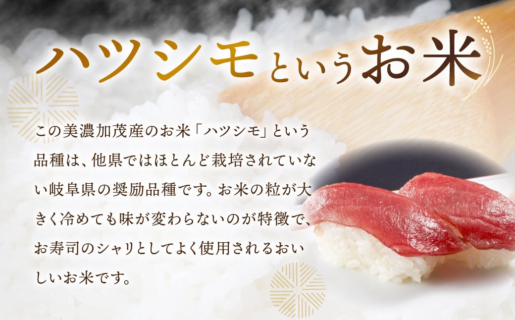令和7年産 お米マイスターが提供 冷めても美味しい 美濃加茂産 ハツシモ （ 5kg × 1袋 ）
