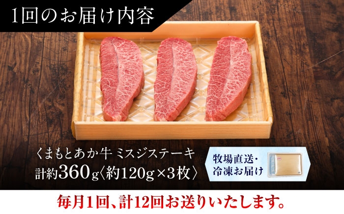菊陽町 あかうし 熊本県 肉 にく niku ブランド 旨み くまもとあか牛 和牛 阿蘇 自然 自社牧場 直接 最高 定期便