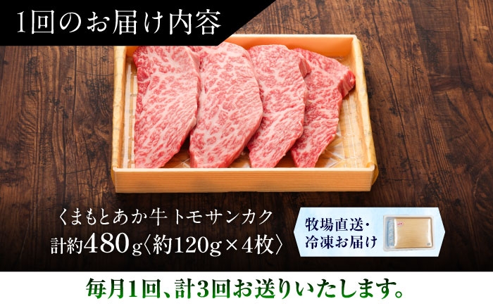 菊陽町 あかうし 熊本県 肉 にく niku ブランド 旨み くまもとあか牛 和牛 阿蘇 自然 自社牧場 直接 最高 定期便