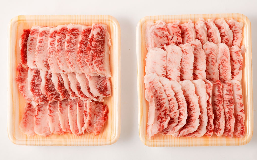 くまもと黒毛和牛プレミアム和王 焼肉用（バラもしくは肩ロース） 計約600g