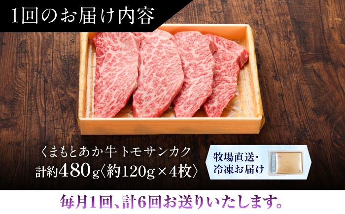 菊陽町 あかうし 熊本県 肉 にく niku ブランド 旨み くまもとあか牛 和牛 阿蘇 自然 自社牧場 直接 最高 定期便