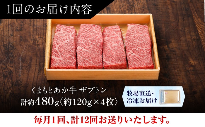 菊陽町 あかうし 熊本県 肉 にく niku ブランド 旨み くまもとあか牛 和牛 阿蘇 自然 自社牧場 直接 最高 定期便