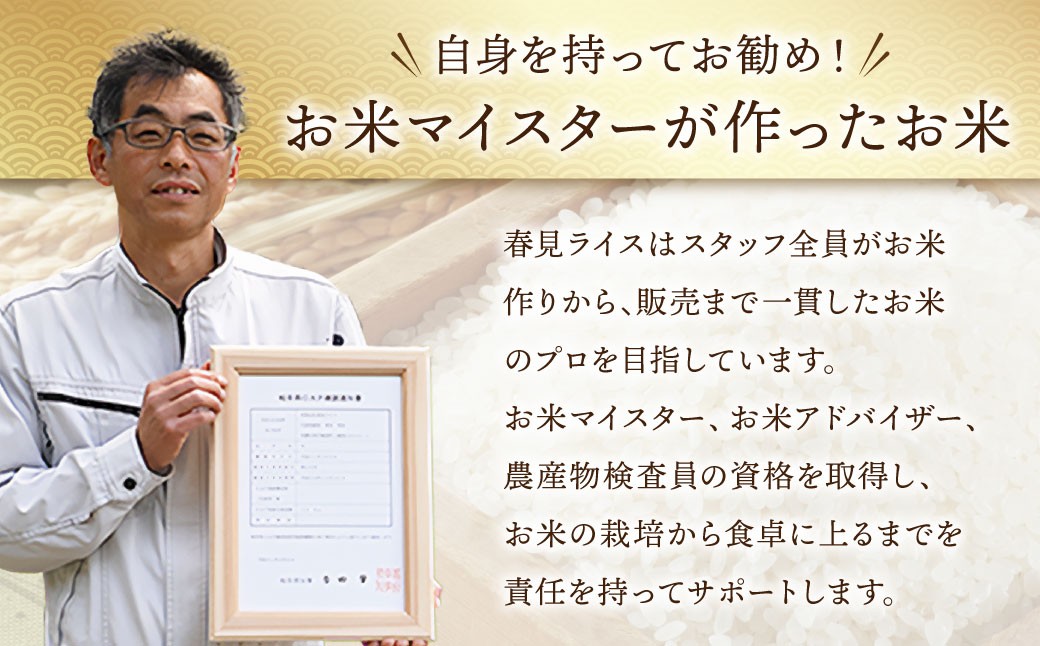 令和7年産 お米マイスターが提供 冷めても美味しい 美濃加茂産 ハツシモ （ 5kg × 1袋 ）