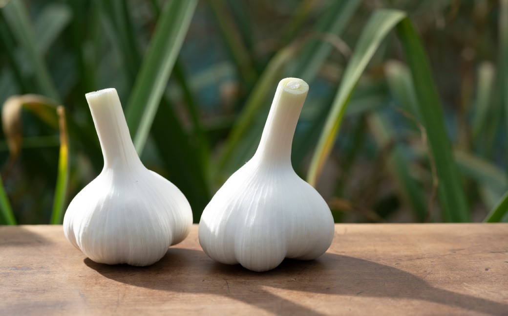 芳醇な香りと上質な風味を探求！北海道 十勝 中札内村 鎌田農園の至高にんにく 大玉 （Lサイズ） 6個入り