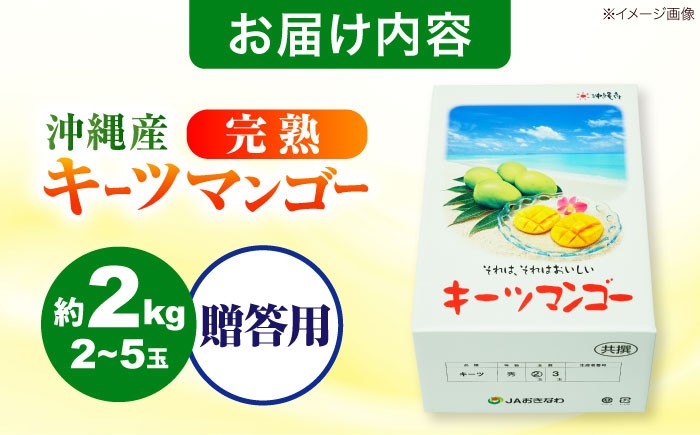 キーツマンゴー マンゴー まんごー 芒果 Mango mango 果物 フルーツ 果実 完熟 国産 特産品 季節限定 数量限定