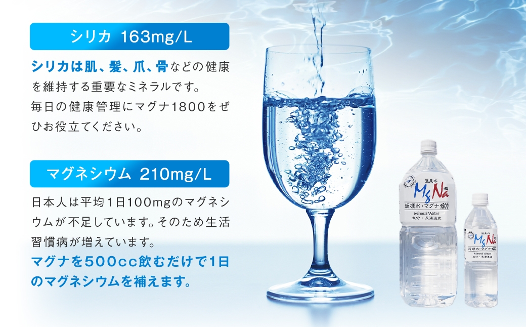 【定期便・3ヶ月連続】「マグナ1800」2L×12本×3回
