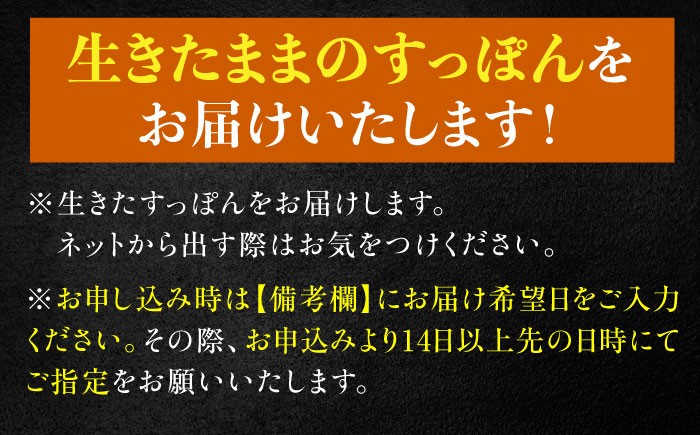 すっぽん スッポン コラーゲン 珍味 海鮮 魚介類 鍋 ナベ なべ セット