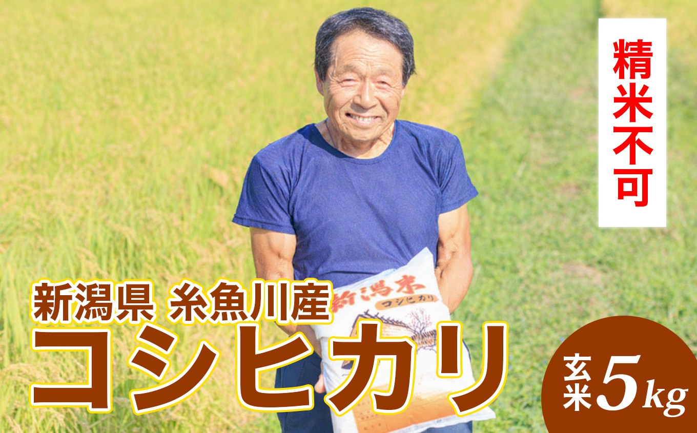 熟練農家自慢の味　新潟県産コシヒカリ 玄米